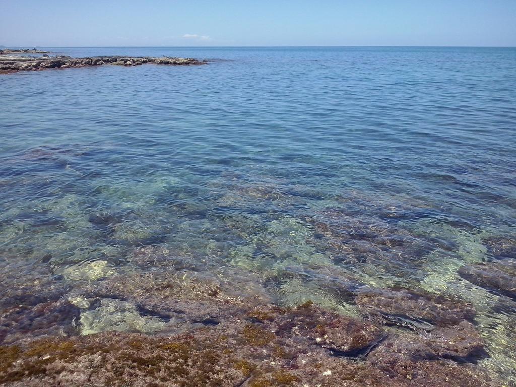 Casalmare Hotel Mola di Bari Eksteriør billede